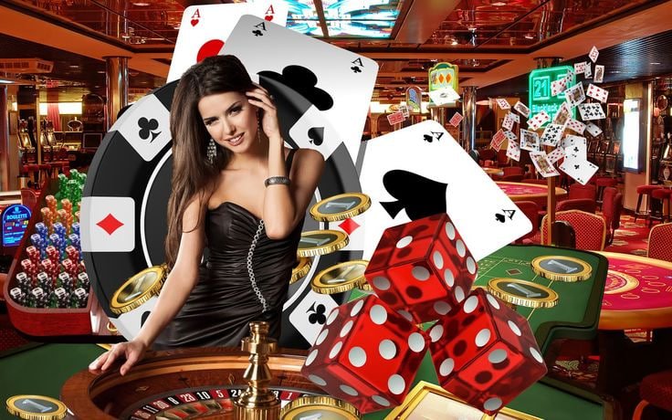 5577bet 5577bet