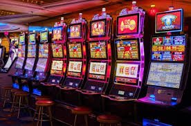 5577bet 5577bet